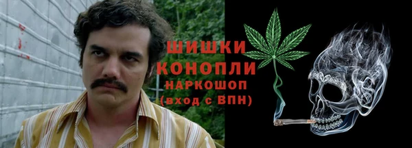 трава Беломорск