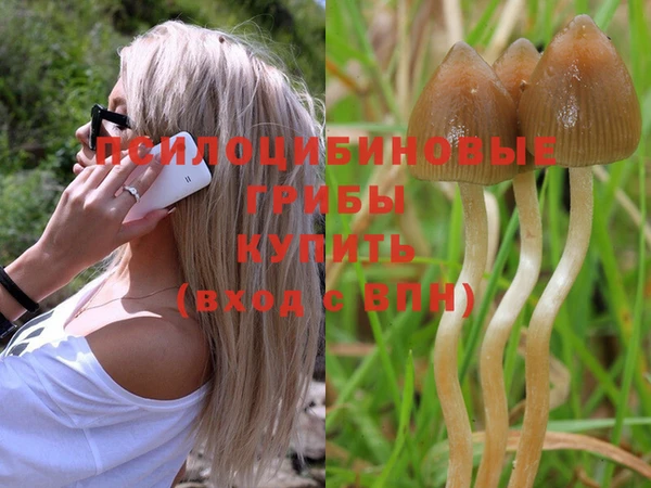 ГАЛЛЮЦИНОГЕННЫЕ ГРИБЫ Инсар